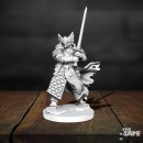 D&D Frameworks: Dragonborn Paladin Male  