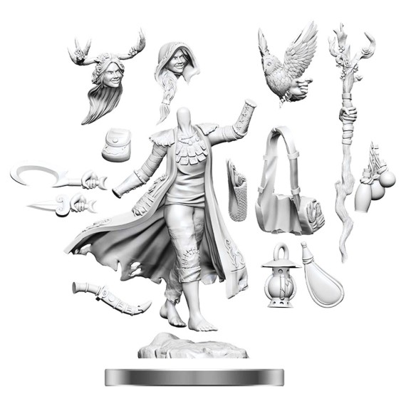 D&D Frameworks: Human Druid Female