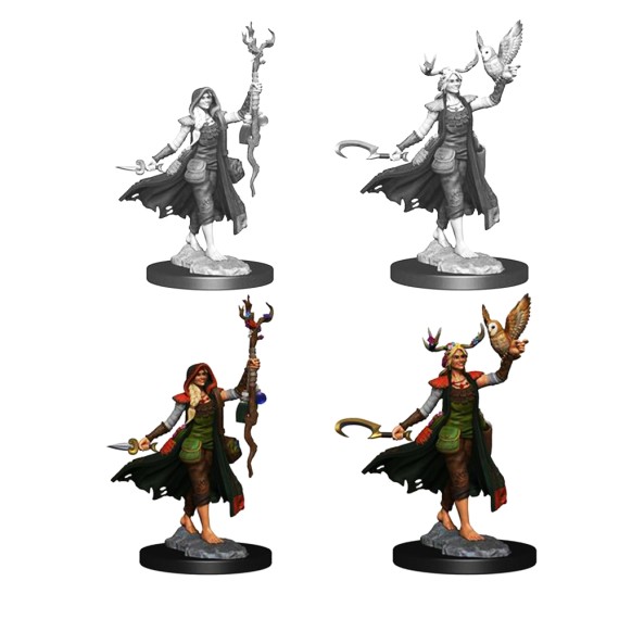 D&D Frameworks: Human Druid Female