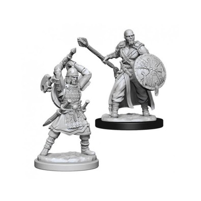 D&D Nolzur's Marvelous Miniatures - Human Barbarian Male